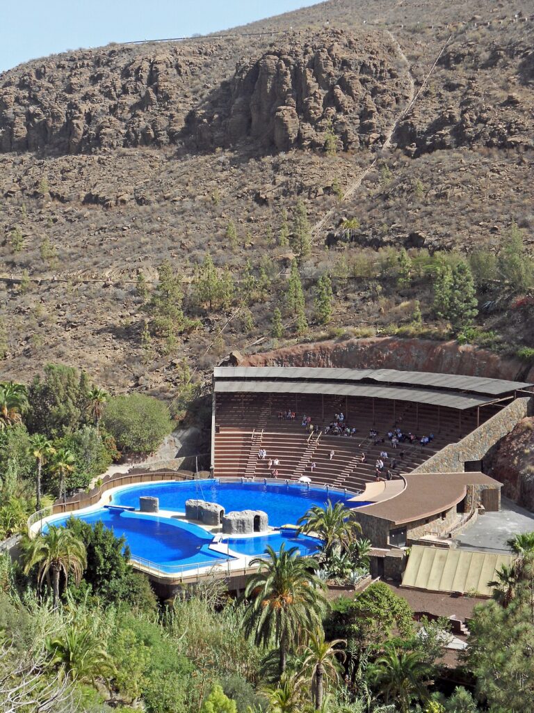 Trybuny i basen delfinarium w Palmitos Park koło Maspalomas